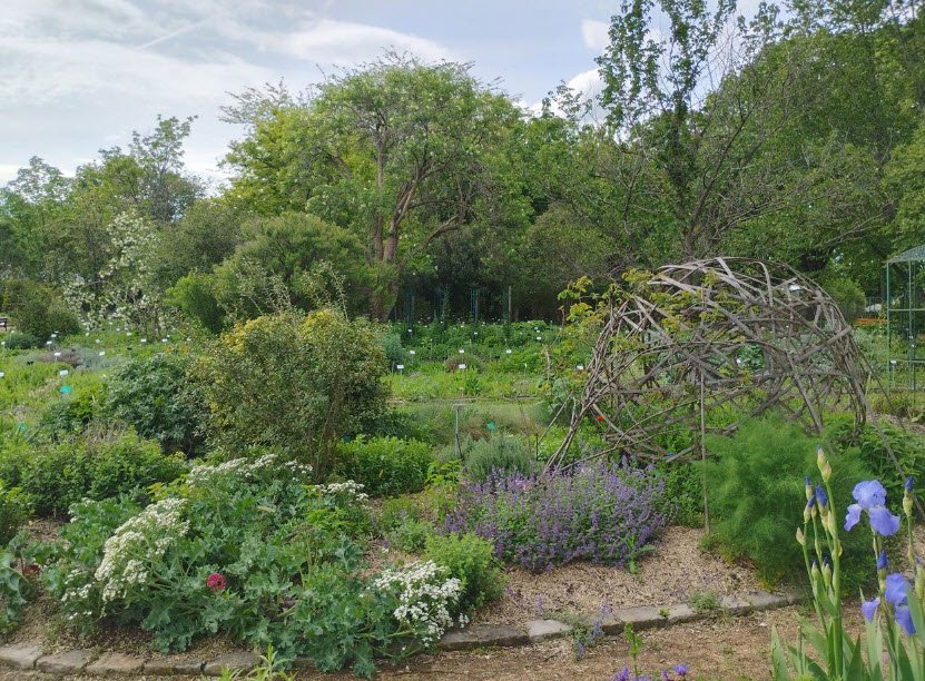 Jardin Botanique de la Charme, , France